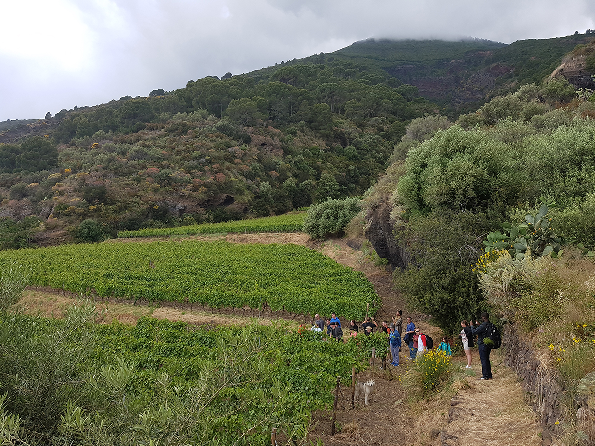 Lipari wine Tour